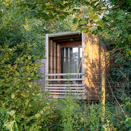 Tranquil Woodland Retreat Prázdninový dům Antoing