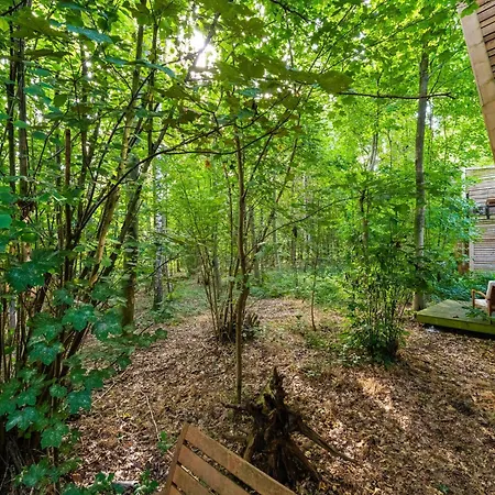 Tranquil Woodland Retreat Prázdninový dům Antoing